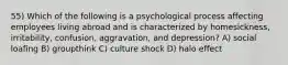 55) Which of the following is a psychological process affecting employees living abroad and is characterized by homesickness, irritability, confusion, aggravation, and depression? A) social loafing B) groupthink C) culture shock D) halo effect