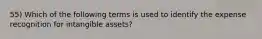 55) Which of the following terms is used to identify the expense recognition for intangible assets?