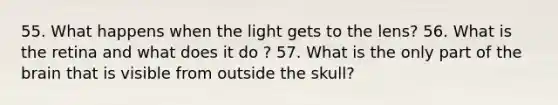 55. What happens when the light gets to the lens? 56. What is the retina and what does it do ? 57. What is the only part of the brain that is visible from outside the skull?