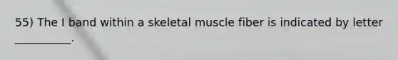 55) The I band within a skeletal muscle fiber is indicated by letter __________.