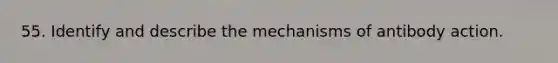55. Identify and describe the mechanisms of antibody action.