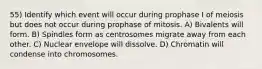 55) Identify which event will occur during prophase I of meiosis but does not occur during prophase of mitosis. A) Bivalents will form. B) Spindles form as centrosomes migrate away from each other. C) Nuclear envelope will dissolve. D) Chromatin will condense into chromosomes.