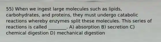 55) When we ingest large molecules such as lipids, carbohydrates, and proteins, they must undergo catabolic reactions whereby enzymes split these molecules. This series of reactions is called ________. A) absorption B) secretion C) chemical digestion D) mechanical digestion