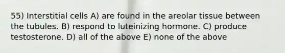 55) Interstitial cells A) are found in the areolar tissue between the tubules. B) respond to luteinizing hormone. C) produce testosterone. D) all of the above E) none of the above