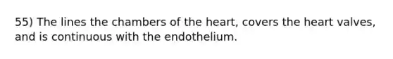 55) The lines the chambers of the heart, covers the heart valves, and is continuous with the endothelium.