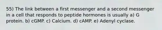 55) The link between a first messenger and a second messenger in a cell that responds to peptide hormones is usually a) G protein. b) cGMP. c) Calcium. d) cAMP. e) Adenyl cyclase.