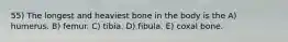 55) The longest and heaviest bone in the body is the A) humerus. B) femur. C) tibia. D) fibula. E) coxal bone.