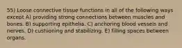 55) Loose connective tissue functions in all of the following ways except A) providing strong connections between muscles and bones. B) supporting epithelia. C) anchoring blood vessels and nerves. D) cushioning and stabilizing. E) filling spaces between organs.