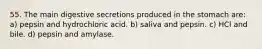 55. The main digestive secretions produced in the stomach are: a) pepsin and hydrochloric acid. b) saliva and pepsin. c) HCl and bile. d) pepsin and amylase.