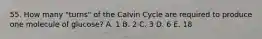 55. How many "turns" of the Calvin Cycle are required to produce one molecule of glucose? A. 1 B. 2 C. 3 D. 6 E. 18