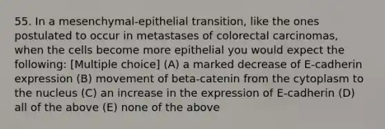 55. In a mesenchymal-epithelial transition, like the ones postulated to occur in metastases of colorectal carcinomas, when the cells become more epithelial you would expect the following: [Multiple choice] (A) a marked decrease of E-cadherin expression (B) movement of beta-catenin from the cytoplasm to the nucleus (C) an increase in the expression of E-cadherin (D) all of the above (E) none of the above