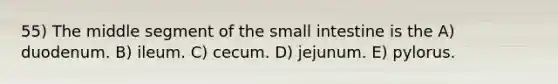 55) The middle segment of the small intestine is the A) duodenum. B) ileum. C) cecum. D) jejunum. E) pylorus.