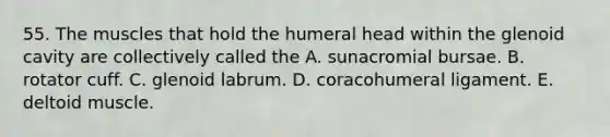 55. The muscles that hold the humeral head within the glenoid cavity are collectively called the A. sunacromial bursae. B. rotator cuff. C. glenoid labrum. D. coracohumeral ligament. E. deltoid muscle.