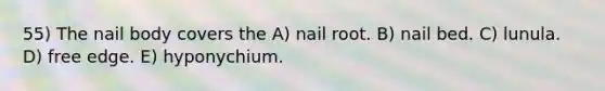 55) The nail body covers the A) nail root. B) nail bed. C) lunula. D) free edge. E) hyponychium.