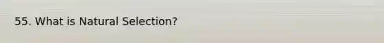 55. What is Natural Selection?