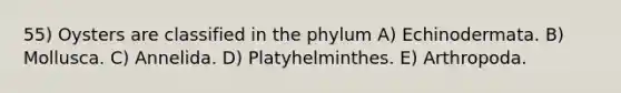 55) Oysters are classified in the phylum A) Echinodermata. B) Mollusca. C) Annelida. D) Platyhelminthes. E) Arthropoda.