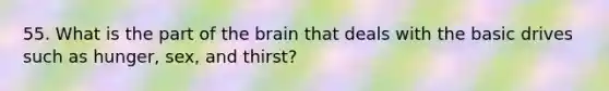 55. What is the part of <a href='https://www.questionai.com/knowledge/kLMtJeqKp6-the-brain' class='anchor-knowledge'>the brain</a> that deals with the basic drives such as hunger, sex, and thirst?