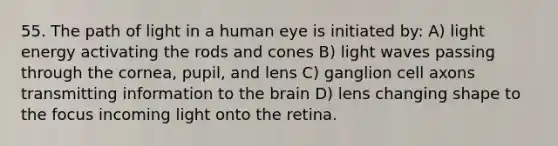 55. The path of light in a human eye is initiated by: A) light energy activating the rods and cones B) light waves passing through the cornea, pupil, and lens C) ganglion cell axons transmitting information to the brain D) lens changing shape to the focus incoming light onto the retina.