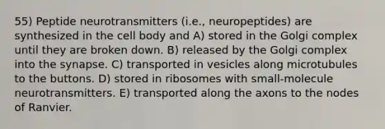 55) Peptide neurotransmitters (i.e., neuropeptides) are synthesized in the cell body and A) stored in the Golgi complex until they are broken down. B) released by the Golgi complex into the synapse. C) transported in vesicles along microtubules to the buttons. D) stored in ribosomes with small-molecule neurotransmitters. E) transported along the axons to the nodes of Ranvier.