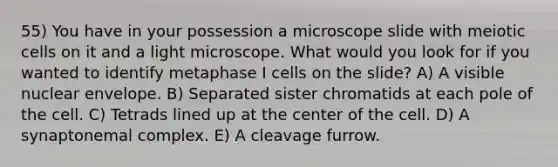 55) You have in your possession a microscope slide with meiotic cells on it and a light microscope. What would you look for if you wanted to identify metaphase I cells on the slide? A) A visible nuclear envelope. B) Separated sister chromatids at each pole of the cell. C) Tetrads lined up at the center of the cell. D) A synaptonemal complex. E) A cleavage furrow.