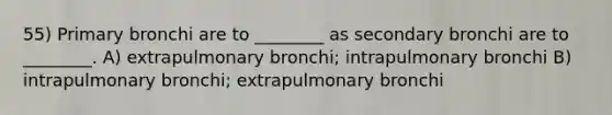 55) Primary bronchi are to ________ as secondary bronchi are to ________. A) extrapulmonary bronchi; intrapulmonary bronchi B) intrapulmonary bronchi; extrapulmonary bronchi