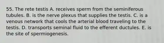 55. The rete testis A. receives sperm from the seminiferous tubules. B. is the nerve plexus that supplies the testis. C. is a venous network that cools the arterial blood traveling to the testis. D. transports seminal fluid to the efferent ductules. E. is the site of spermiogenesis.