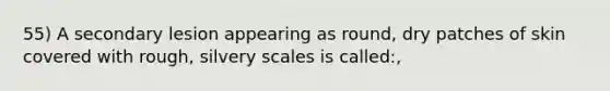 55) A secondary lesion appearing as round, dry patches of skin covered with rough, silvery scales is called:,