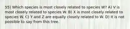 55) Which species is most closely related to species W? A) V is most closely related to species W. B) X is most closely related to species W. C) Y and Z are equally closely related to W. D) It is not possible to say from this tree.