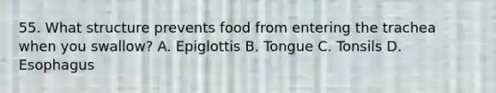 55. What structure prevents food from entering the trachea when you swallow? A. Epiglottis B. Tongue C. Tonsils D. Esophagus