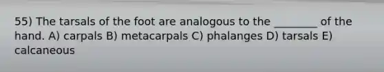 55) The tarsals of the foot are analogous to the ________ of the hand. A) carpals B) metacarpals C) phalanges D) tarsals E) calcaneous