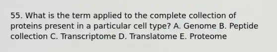 55. What is the term applied to the complete collection of proteins present in a particular cell type? A. Genome B. Peptide collection C. Transcriptome D. Translatome E. Proteome