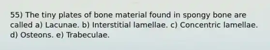 55) The tiny plates of bone material found in spongy bone are called a) Lacunae. b) Interstitial lamellae. c) Concentric lamellae. d) Osteons. e) Trabeculae.