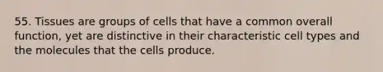 55. Tissues are groups of cells that have a common overall function, yet are distinctive in their characteristic cell types and the molecules that the cells produce.