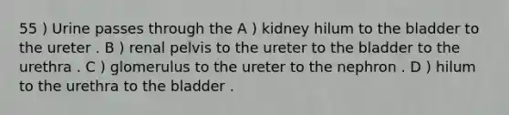 55 ) Urine passes through the A ) kidney hilum to the bladder to the ureter . B ) renal pelvis to the ureter to the bladder to the urethra . C ) glomerulus to the ureter to the nephron . D ) hilum to the urethra to the bladder .