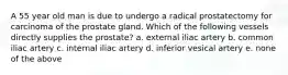 A 55 year old man is due to undergo a radical prostatectomy for carcinoma of the prostate gland. Which of the following vessels directly supplies the prostate? a. external iliac artery b. common iliac artery c. internal iliac artery d. inferior vesical artery e. none of the above