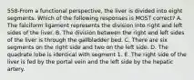 558-From a functional perspective, the liver is divided into eight segments. Which of the following responses is MOST correct? A. The falciform ligament represents the division into right and left sides of the liver. B. The division between the right and left sides of the liver is through the gallbladder bed. C. There are six segments on the right side and two on the left side. D. The quadrate lobe is identical with segment 1. E. The right side of the liver is fed by the portal vein and the left side by the hepatic artery.