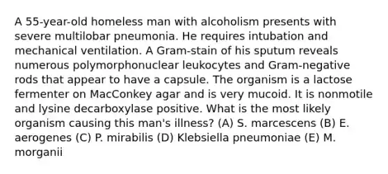 A 55-year-old homeless man with alcoholism presents with severe multilobar pneumonia. He requires intubation and mechanical ventilation. A Gram-stain of his sputum reveals numerous polymorphonuclear leukocytes and Gram-negative rods that appear to have a capsule. The organism is a lactose fermenter on MacConkey agar and is very mucoid. It is nonmotile and lysine decarboxylase positive. What is the most likely organism causing this man's illness? (A) S. marcescens (B) E. aerogenes (C) P. mirabilis (D) Klebsiella pneumoniae (E) M. morganii