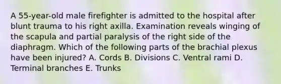 A 55-year-old male firefighter is admitted to the hospital after blunt trauma to his right axilla. Examination reveals winging of the scapula and partial paralysis of the right side of the diaphragm. Which of the following parts of the brachial plexus have been injured? A. Cords B. Divisions C. Ventral rami D. Terminal branches E. Trunks