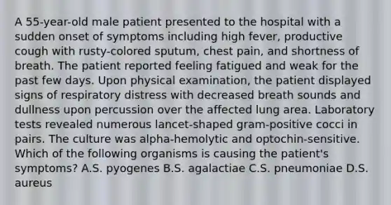 A 55-year-old male patient presented to the hospital with a sudden onset of symptoms including high fever, productive cough with rusty-colored sputum, chest pain, and shortness of breath. The patient reported feeling fatigued and weak for the past few days. Upon physical examination, the patient displayed signs of respiratory distress with decreased breath sounds and dullness upon percussion over the affected lung area. Laboratory tests revealed numerous lancet-shaped gram-positive cocci in pairs. The culture was alpha-hemolytic and optochin-sensitive. Which of the following organisms is causing the patient's symptoms? A.S. pyogenes B.S. agalactiae C.S. pneumoniae D.S. aureus