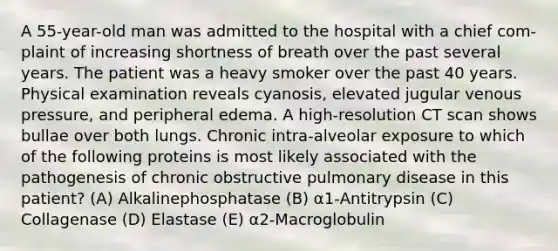 A 55-year-old man was admitted to the hospital with a chief com- plaint of increasing shortness of breath over the past several years. The patient was a heavy smoker over the past 40 years. Physical examination reveals cyanosis, elevated jugular venous pressure, and peripheral edema. A high-resolution CT scan shows bullae over both lungs. Chronic intra-alveolar exposure to which of the following proteins is most likely associated with the pathogenesis of chronic obstructive pulmonary disease in this patient? (A) Alkalinephosphatase (B) α1-Antitrypsin (C) Collagenase (D) Elastase (E) α2-Macroglobulin