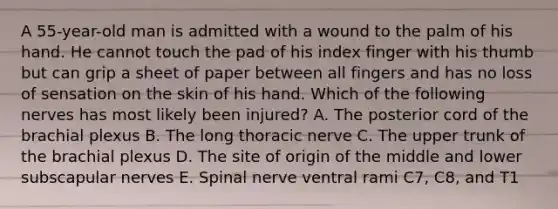 A 55-year-old man is admitted with a wound to the palm of his hand. He cannot touch the pad of his index finger with his thumb but can grip a sheet of paper between all fingers and has no loss of sensation on the skin of his hand. Which of the following nerves has most likely been injured? A. The posterior cord of the brachial plexus B. The long thoracic nerve C. The upper trunk of the brachial plexus D. The site of origin of the middle and lower subscapular nerves E. Spinal nerve ventral rami C7, C8, and T1