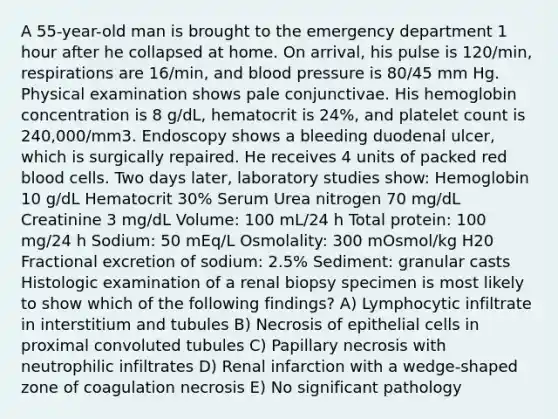 A 55-year-old man is brought to the emergency department 1 hour after he collapsed at home. On arrival, his pulse is 120/min, respirations are 16/min, and blood pressure is 80/45 mm Hg. Physical examination shows pale conjunctivae. His hemoglobin concentration is 8 g/dL, hematocrit is 24%, and platelet count is 240,000/mm3. Endoscopy shows a bleeding duodenal ulcer, which is surgically repaired. He receives 4 units of packed red blood cells. Two days later, laboratory studies show: Hemoglobin 10 g/dL Hematocrit 30% Serum Urea nitrogen 70 mg/dL Creatinine 3 mg/dL Volume: 100 mL/24 h Total protein: 100 mg/24 h Sodium: 50 mEq/L Osmolality: 300 mOsmol/kg H20 Fractional excretion of sodium: 2.5% Sediment: granular casts Histologic examination of a renal biopsy specimen is most likely to show which of the following findings? A) Lymphocytic infiltrate in interstitium and tubules B) Necrosis of epithelial cells in proximal convoluted tubules C) Papillary necrosis with neutrophilic infiltrates D) Renal infarction with a wedge-shaped zone of coagulation necrosis E) No significant pathology