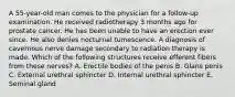 A 55-year-old man comes to the physician for a follow-up examination. He received radiotherapy 3 months ago for prostate cancer. He has been unable to have an erection ever since. He also denies nocturnal tumescence. A diagnosis of cavernous nerve damage secondary to radiation therapy is made. Which of the following structures receive efferent fibers from these nerves? A. Erectile bodies of the penis B. Glans penis C. External urethral sphincter D. Internal urethral sphincter E. Seminal gland