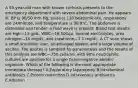 A 55-year-old man with known cirrhosis presents to the emergency department with severe abdominal pain. He appears ill. BP Is 90/50 mm Hg, pulse is 110 beats/minute, respirations are 24/minute, and temperature is 38.8°C. The abdomen is distended and tender; a fluid wave is present. Blood test results are Hgb—13 g/dL, WBC—16,500/μί, normal electrolytes, urea nitrogen—10 mg/dL, and creatinine—1.1 mg/dL. A CT scan shows a small shrunken liver, an enlarged spleen, and a large volume of ascites. The ascites is sampled by paracentesis and the results of this analysis are WBC—750 cells/mL with 90% neutrophils; cultures are positive for a single Gram-negative aerobic organism. Which of the following is the most appropriate immediate therapy? A.Exploratory laparotomy B.Intraluminal antibiotics C.Protein restriction D.Intravenous antibiotics E.Albumin