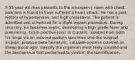 A 55-year-old man presents to the emergency room with chest pain and is found to have suffered a heart attack. He has a past history of hypertension, and high cholesterol. The patient is admitted and scheduled for a triple bypass procedure. During recovery, he becomes septic, developing a high grade fever and pneumonia. Gram-positive cocci in clusters, isolated from both his lungs via an induced sputum specimen and the surgical incision, produce beta-hemolytic, catalase-positive colonies on sheep blood agar. Identify the organism most likely isolated and the biochemical test performed to confirm the identification.