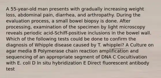 A 55-year-old man presents with gradually increasing weight loss, abdominal pain, diarrhea, and arthropathy. During the evaluation process, a small bowel biopsy is done. After processing, examination of the specimen by light microscopy reveals periodic acid-Schiff-positive inclusions in the bowel wall. Which of the following tests could be done to confirm the diagnosis of Whipple disease caused by T. whipplei? A Culture on agar media B Polymerase chain reaction amplification and sequencing of an appropriate segment of DNA C Cocultivation with E. coli D In situ hybridization E Direct fluorescent antibody test