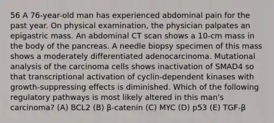 56 A 76-year-old man has experienced abdominal pain for the past year. On physical examination, the physician palpates an epigastric mass. An abdominal CT scan shows a 10-cm mass in the body of the pancreas. A needle biopsy specimen of this mass shows a moderately differentiated adenocarcinoma. Mutational analysis of the carcinoma cells shows inactivation of SMAD4 so that transcriptional activation of cyclin-dependent kinases with growth-suppressing effects is diminished. Which of the following regulatory pathways is most likely altered in this man's carcinoma? (A) BCL2 (B) β-catenin (C) MYC (D) p53 (E) TGF-β