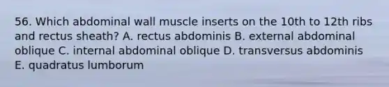 56. Which abdominal wall muscle inserts on the 10th to 12th ribs and rectus sheath? A. rectus abdominis B. external abdominal oblique C. internal abdominal oblique D. transversus abdominis E. quadratus lumborum