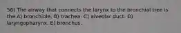 56) The airway that connects the larynx to the bronchial tree is the A) bronchiole. B) trachea. C) alveolar duct. D) laryngopharynx. E) bronchus.