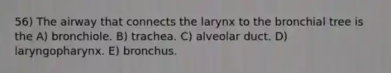 56) The airway that connects the larynx to the bronchial tree is the A) bronchiole. B) trachea. C) alveolar duct. D) laryngopharynx. E) bronchus.